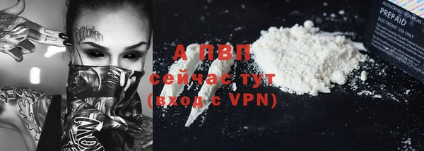 mix Богородицк