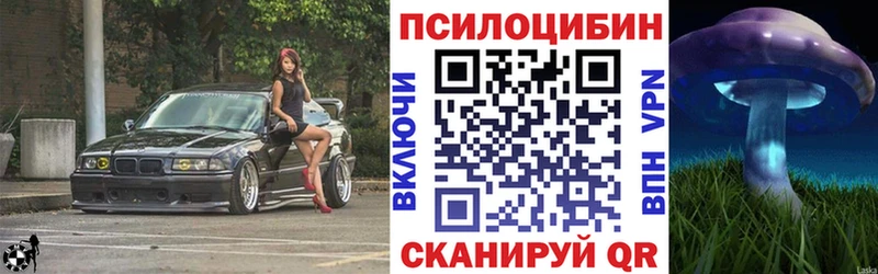 Галлюциногенные грибы GOLDEN TEACHER  Купить  Серафимович 